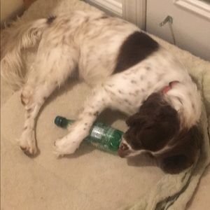 Meet your Posher, Saachi